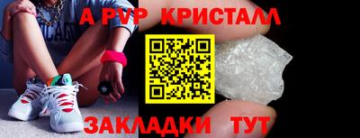 крисы Гусев