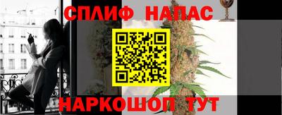 крисы Гусев