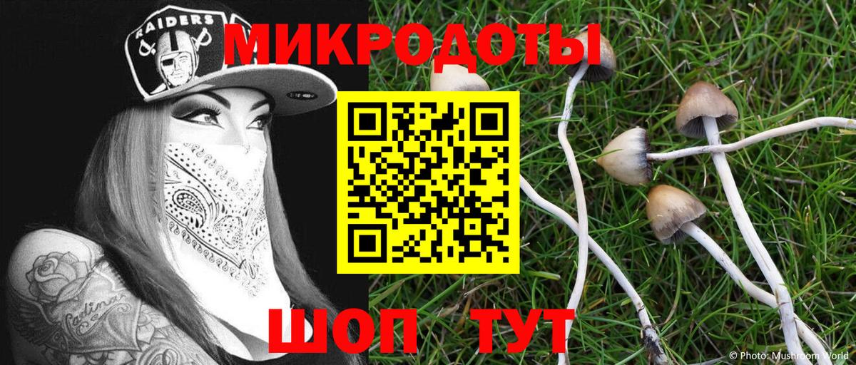 Псилоцибиновые грибы Psilocybine cubensis  Псилоцибиновые грибы MAGIC MUSHROOMS  сколько стоит  Вход с VPN  Миасс 